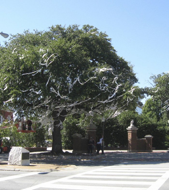 The famous oak trees in Auburn Alabama photo by Kathy Miller