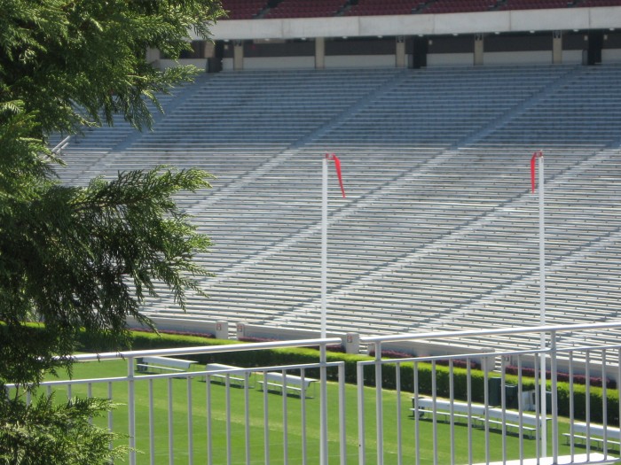 The hedges University of Georgia Sanford Stadium photo by Kathy Miller