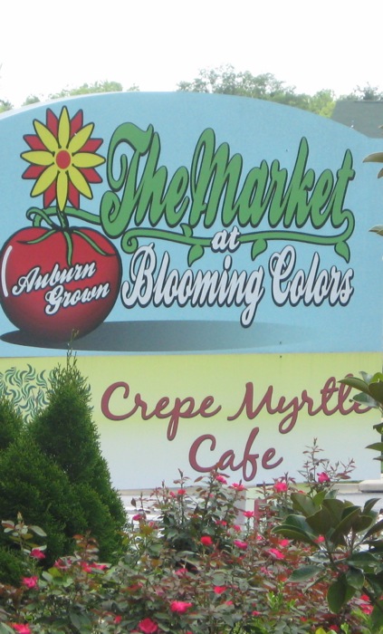 Crepe Myrtle Cafe The Market at Blooming Colors photo by Kathy Miller