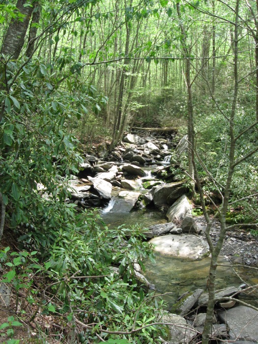 Smoky Mountain stream Mt. Leconte Hike photo by Kathy Miller