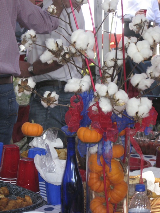 Pumpkins and Cotton at Ole Miss photo by Kathy Miller