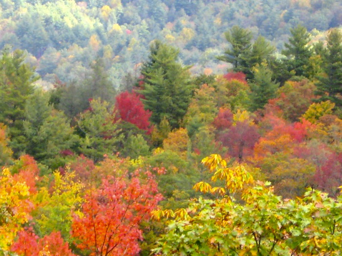 Camp Chimney in the fall photo by Kathy Miller