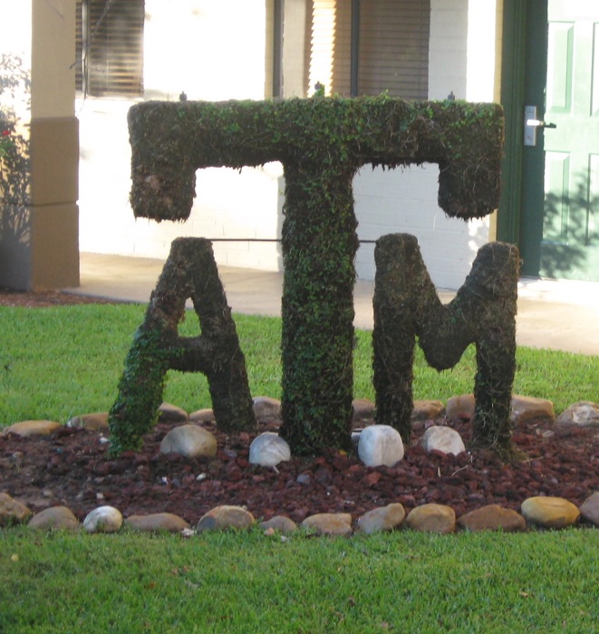 Vineyard Court Hotel topiary Texas A&M photo by Kathy Miller