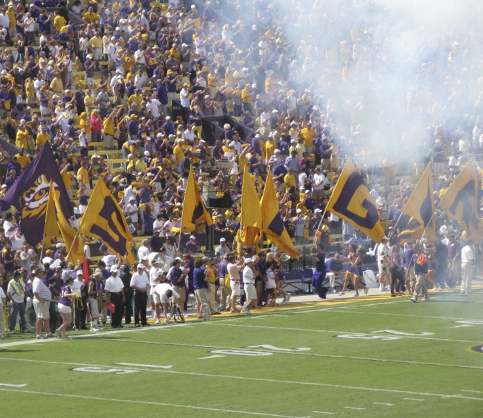 Geaux Tigers LSU Baton Rouge LA photo by Kathy Miller