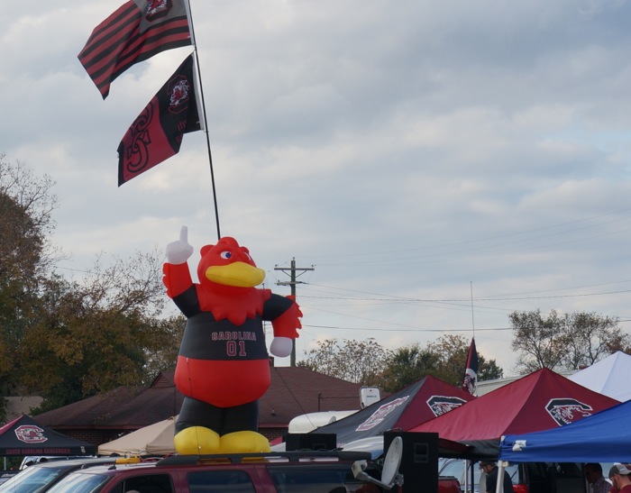 Tailgating Cocky photo by Kathy Miller