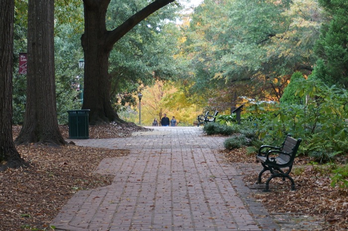 Students walking The Horseshoe University of South Carolina photo by Kathy Miller