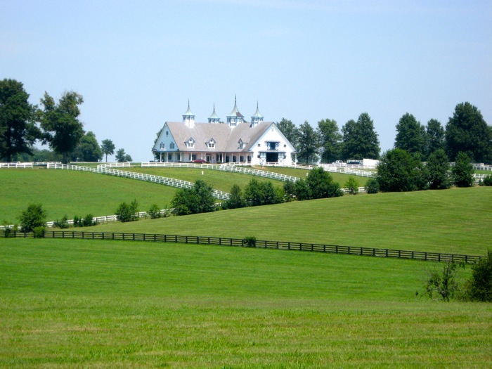 Kentucky Horse Farm photo by Kathy Miller