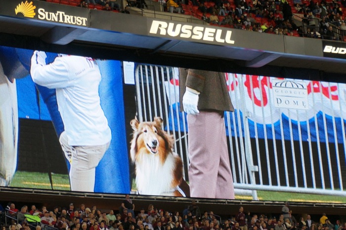 Big Screen & Reveille photo by Kathy Miller
