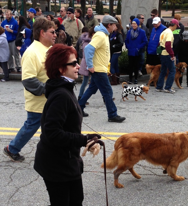 Dogs Wainting To Be Adopted in Chick-fil-A bowl parade photo by Kathy Miller