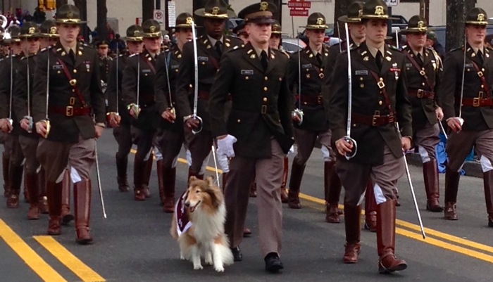 Fightin' Aggie Band with Reveille , first lady of Aggieland photo by Kathy Miller