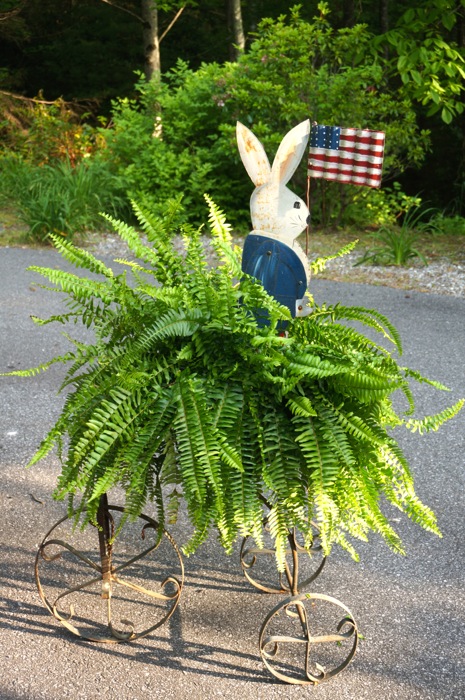 Patriotic Bunny In Fern photo by Kathy Miller