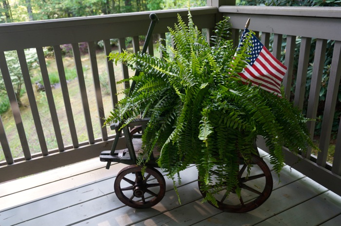 American Flag in Fern in antique wagon photo by Kathy Miller