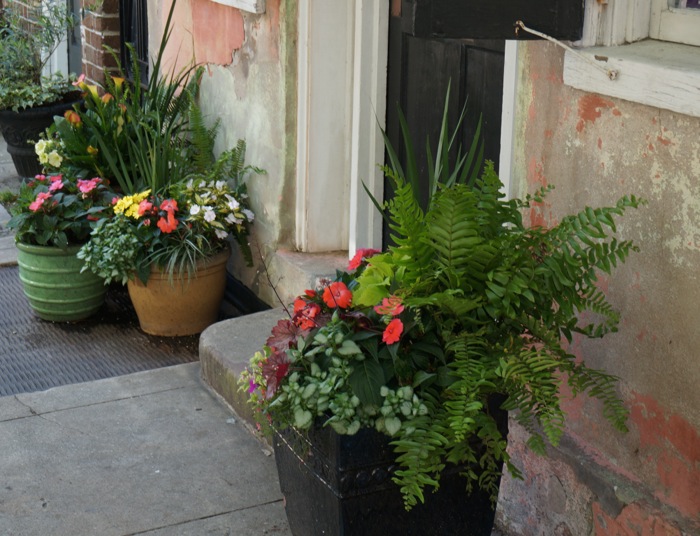 Flowers on Church Street photo by Kathy miller