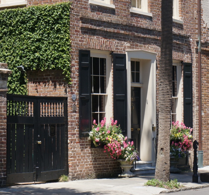 Window box flowers in Charleston photo by Kathy Miller