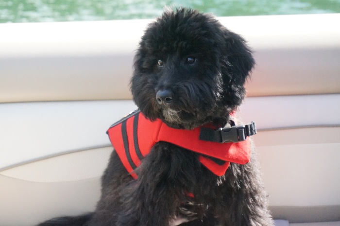 Sheldon boating on Lake Glenville with life vest photo by Kathy Miller