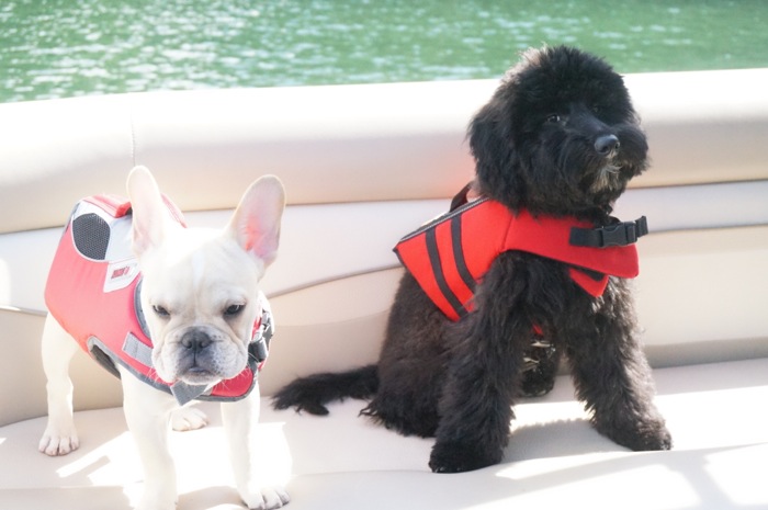 Sheldon and Ralphie boating photo by Kathy Miller