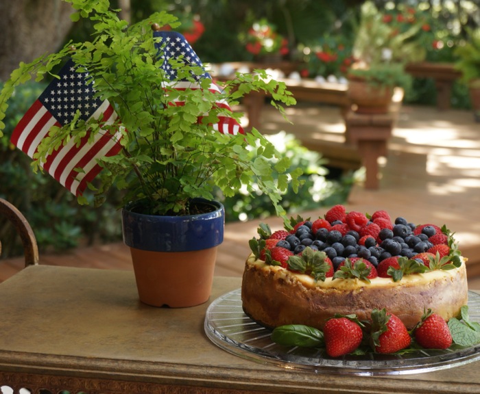 Frances Stone's 4th of July Blueberry & Strawberry Cheesecake phtoto by Kathy Miller