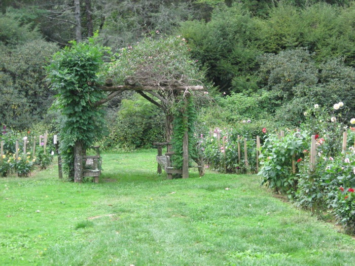 Arbor at High Hamton Inn at the Dahlia beds photo by Kathy Miller