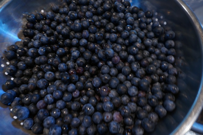 Farm to table blueberries photo by Kathy Miller