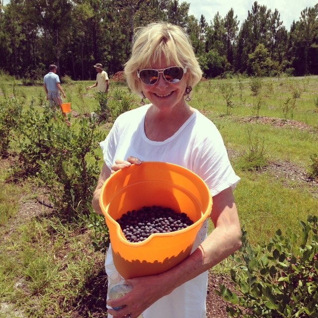 Kathy Miller and her bucket of blueberries photo by Kathy Miller