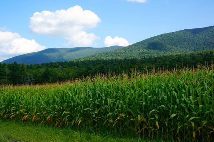 Vermont Green Mountains with cornfields in valley photo by Kathy Miller