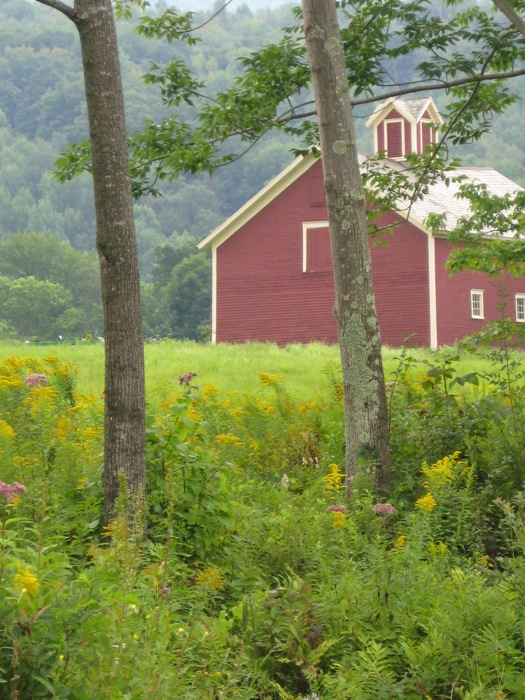 Red Barn on The Hollow in Dorset VT photo by Kathy Miller