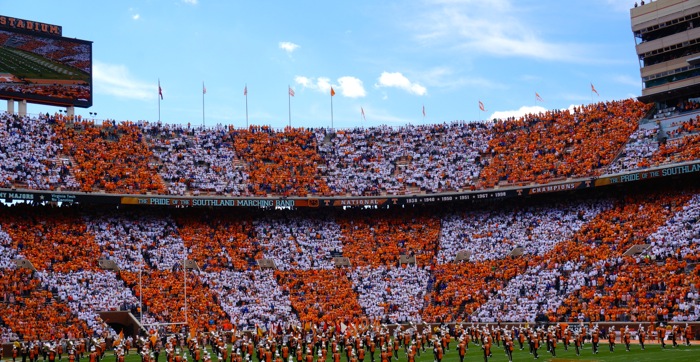 Orange and White Checkerboard photo by Kathy Miller