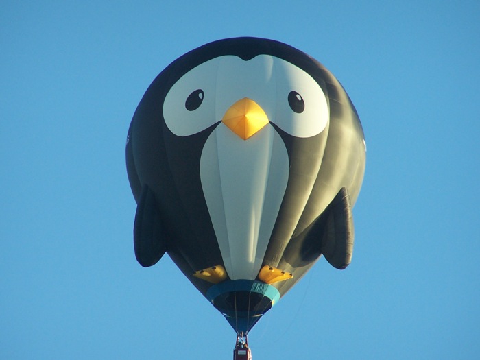 Bird Balloon photo by James Johnston