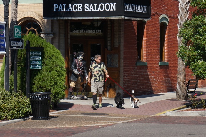 Palace Saloon's patron leaves with his dogs photo by Kathy Miller