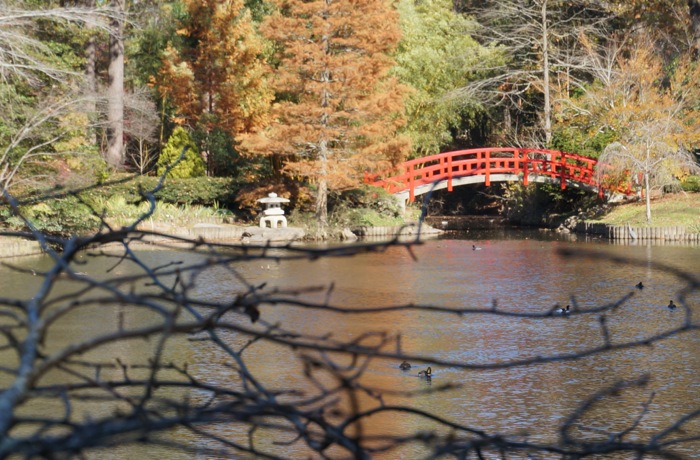The Red Bridge at Asian Garden area, Sarah P. Duke Gardens, Duke University photo by Kathy Miller