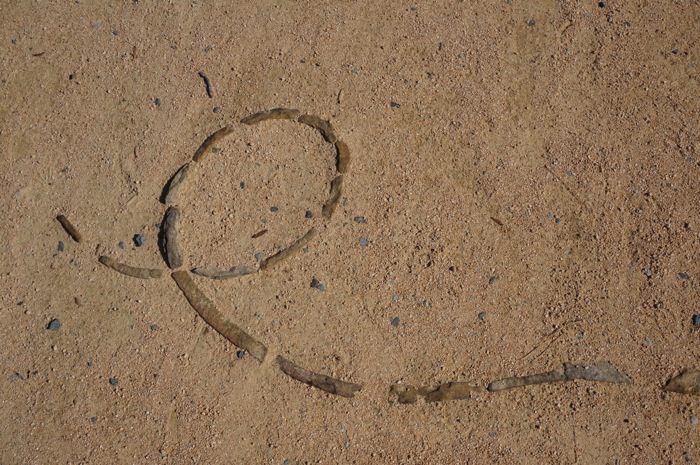 Motifs in the sand, pathways in Sarah P. Duke Gardens photo by Kathy Miller