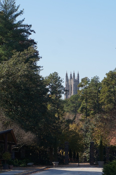 Duke's Chapel Bell Tower photo by Kathy Miller