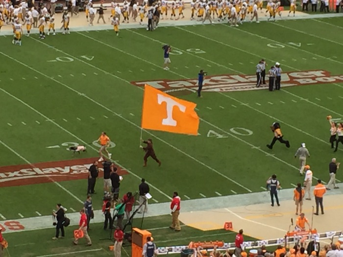 Tennessee led by Smokey storm the field photo by Kathy Miller