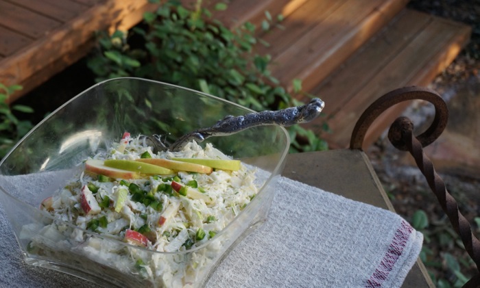 Apple Slaw with Chives and Jalepeno Dressing photo by Kathy Miller