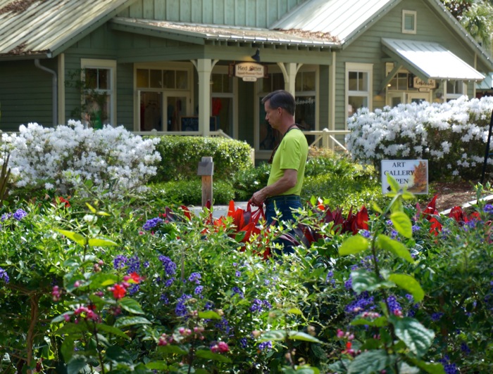 Tropical landscaping plants from Amelia Farmers Market photo by Kathy Miller