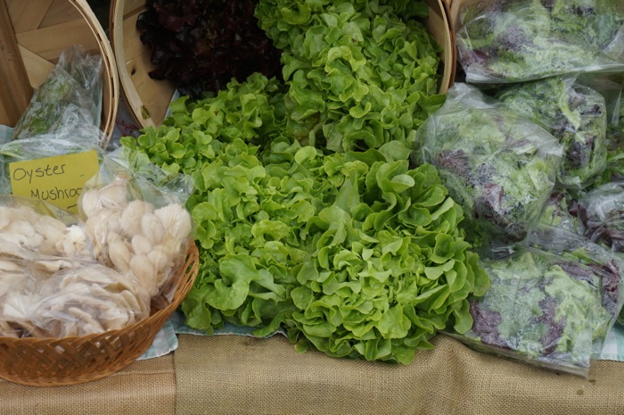 Lettuces from Foggy Meadow Farms, Dorset Vermont Farmers Market photo by Kathy Miller