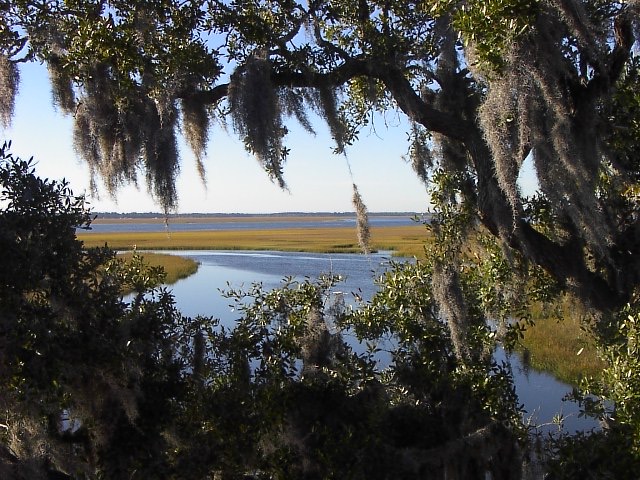 Walker's Landing photo by Kathy Miller