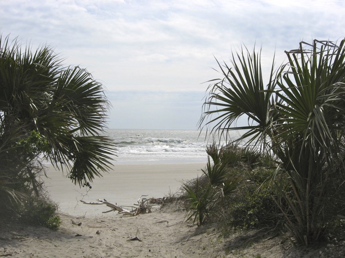 Beaches on Little Talbot Island and Amelia Island photo by Kathy Miller