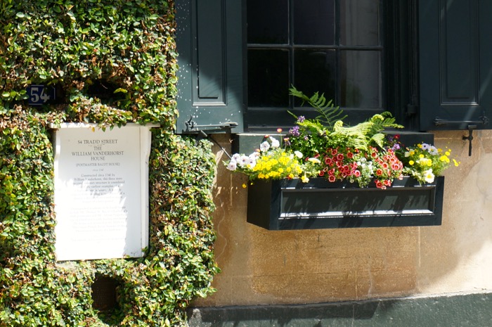 Window box at The William Vanderhorst House on Tradd Street, Charleston photo by Kathy Miller