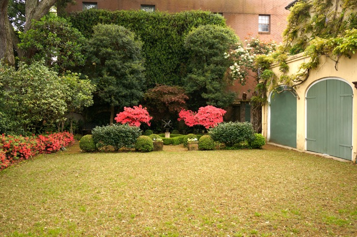 Azaleas in full bloom at the Thomas Rose House photo by Kathy Miller