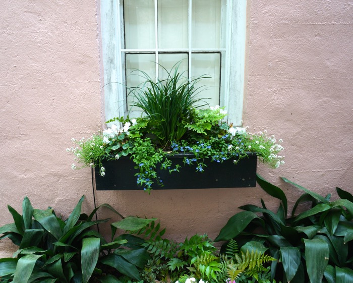 Pink House with window box photo by Kathy Miller