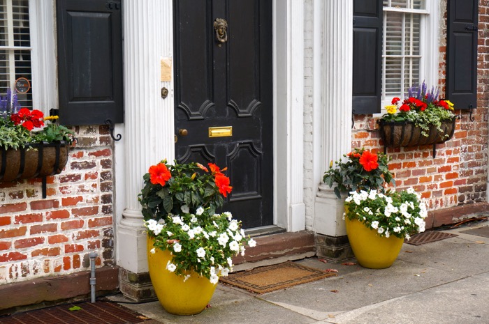 Yellow pots with flowers Charleston, SC photo by Kathy Miller