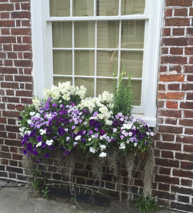 Window box and Charleston brick laying photo by Kathy Miller