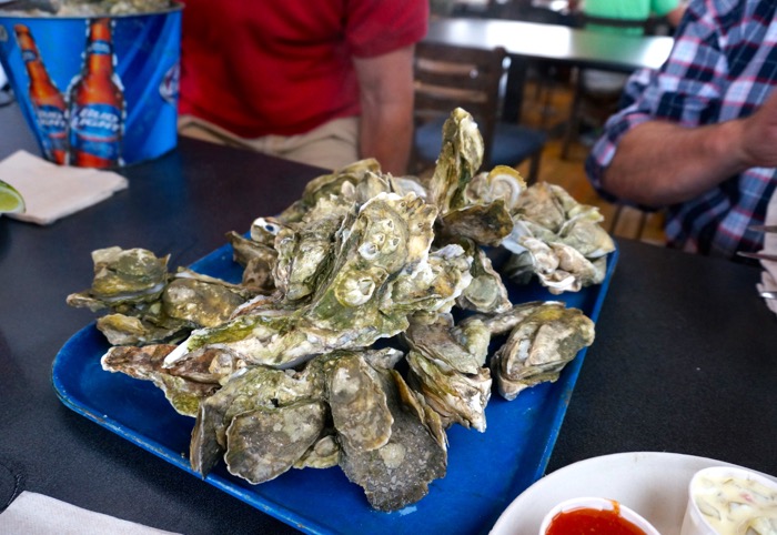 Local oysters at Bowens Island Restaurant photo by Kathy Miller