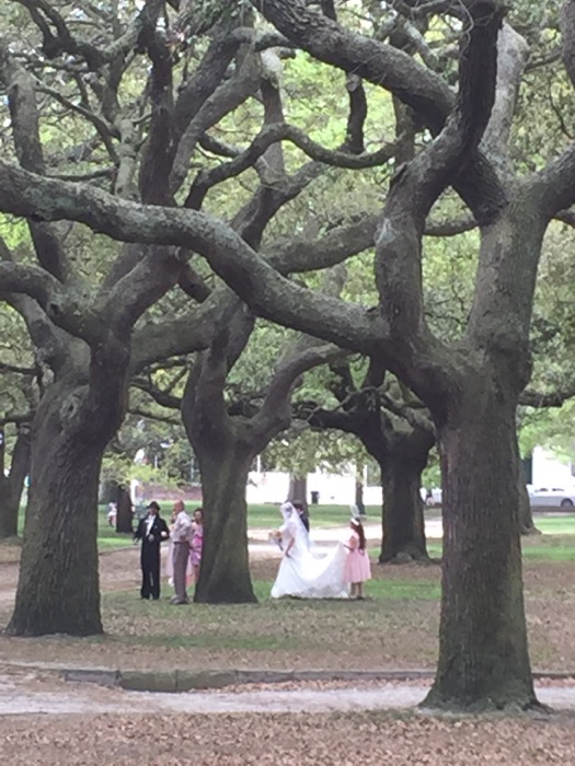 Wedding in Battery Park photo by Kathy Miller