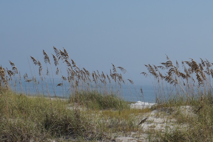 Ocean view on Amelia Island, FL photo by Kathy Miller