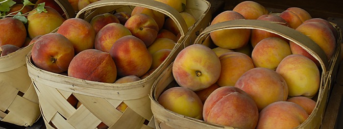 Fresh peaches from the Cashiers Farmers Market photo courtesy of Cashiers Farmers Market via KathyMillerTime