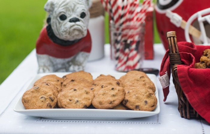 UGA bulldog and chocolate chip cookies photo by Page Teahan