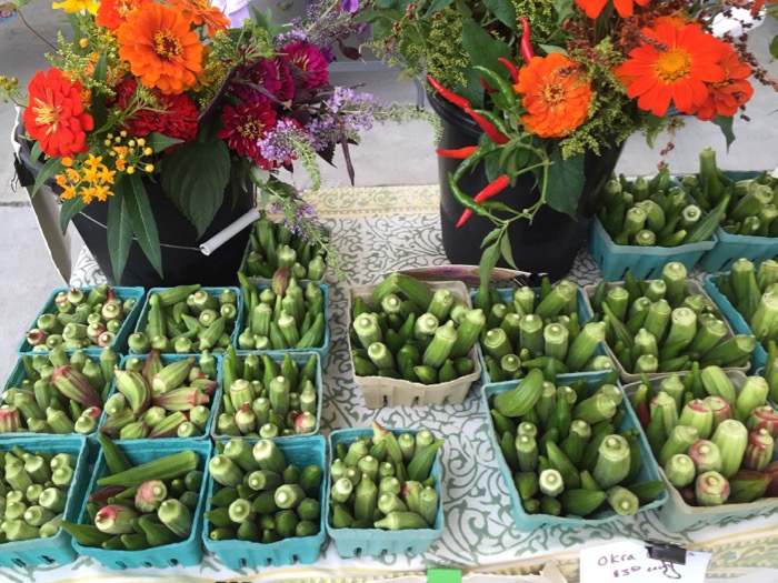 Okra photo by Kathy Miller