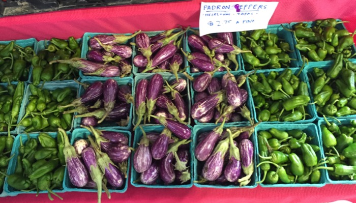 Baby Eggplant and Peppers photo by Kathy Miller